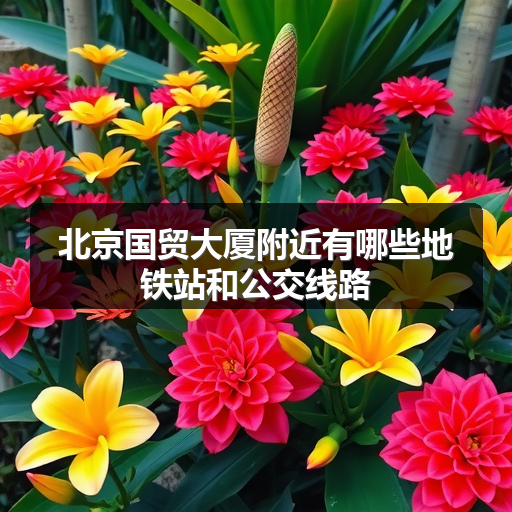 北京国贸大厦附近有哪些地铁站和公交线路 正文配图